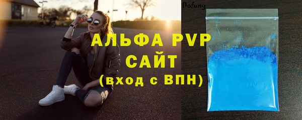 мдпв Вяземский