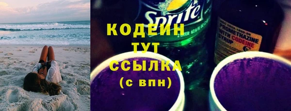 мдпв Вяземский