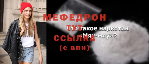 мдпв Вяземский
