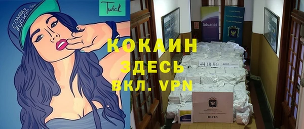 мдпв Вяземский